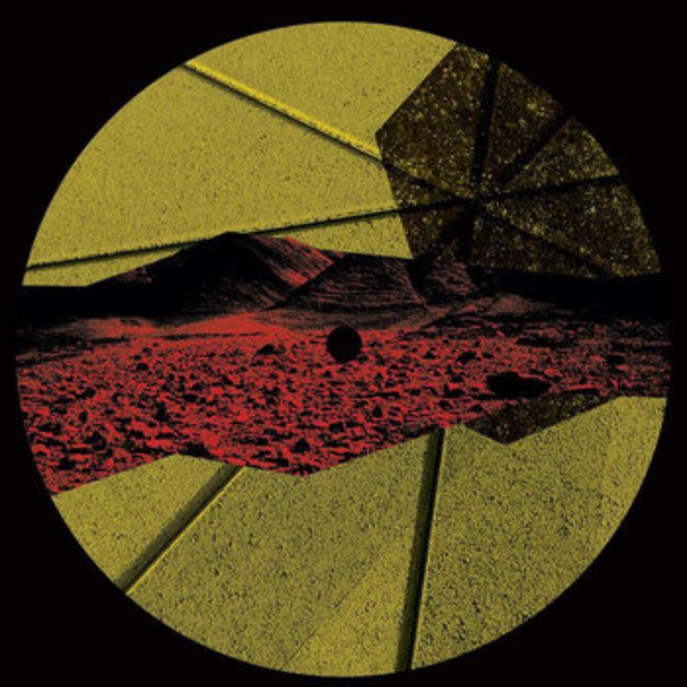 DYAD Records, Common Purpose Series en vinilo
